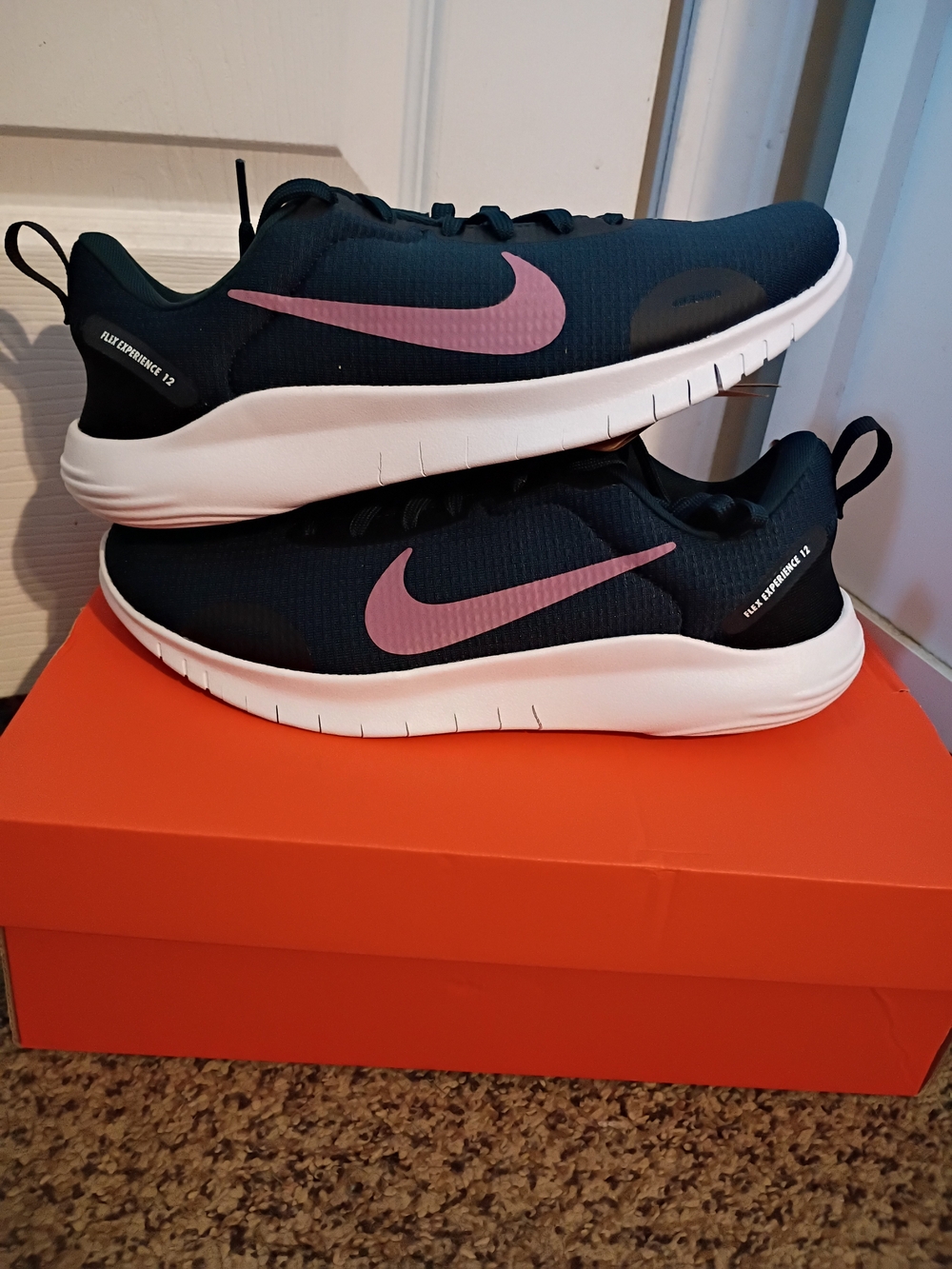 Nike Women's Flex Experience RN 12